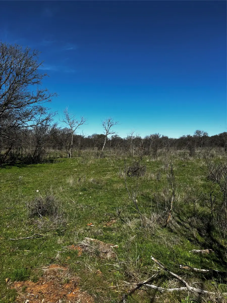 382 High Plains Court, Bellevue, TX 76230 - #3
