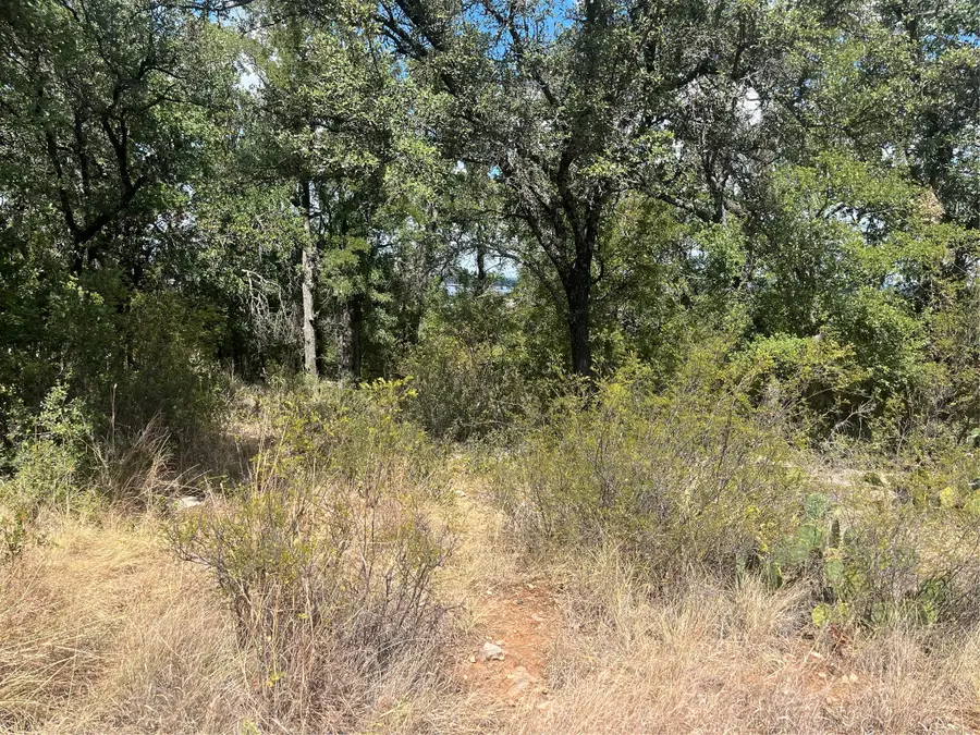 TBD Fm 2632 N, Brownwood, TX 76801 - #2
