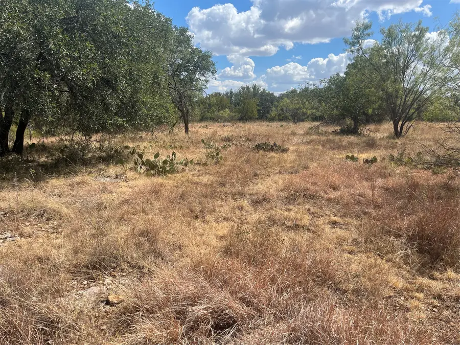 TBD Fm 2632 N, Brownwood, TX 76801 - #3