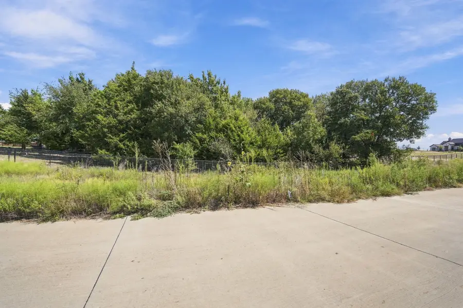 TBD Lot 24 Val Verde Lane, Midlothian, TX 76065 - #2