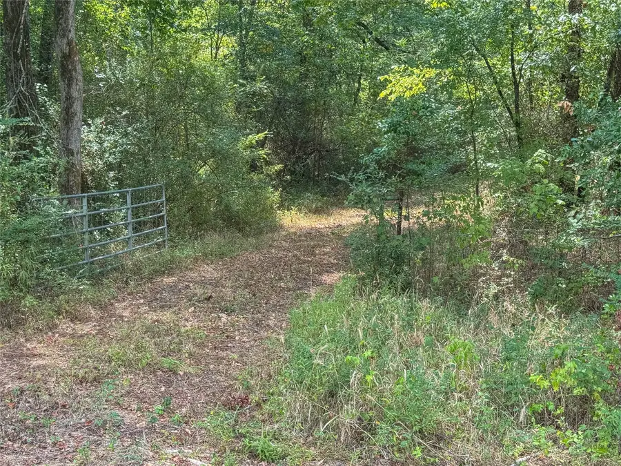 FM 1845 Pine Tree Road, Longview, TX 75604 - #3