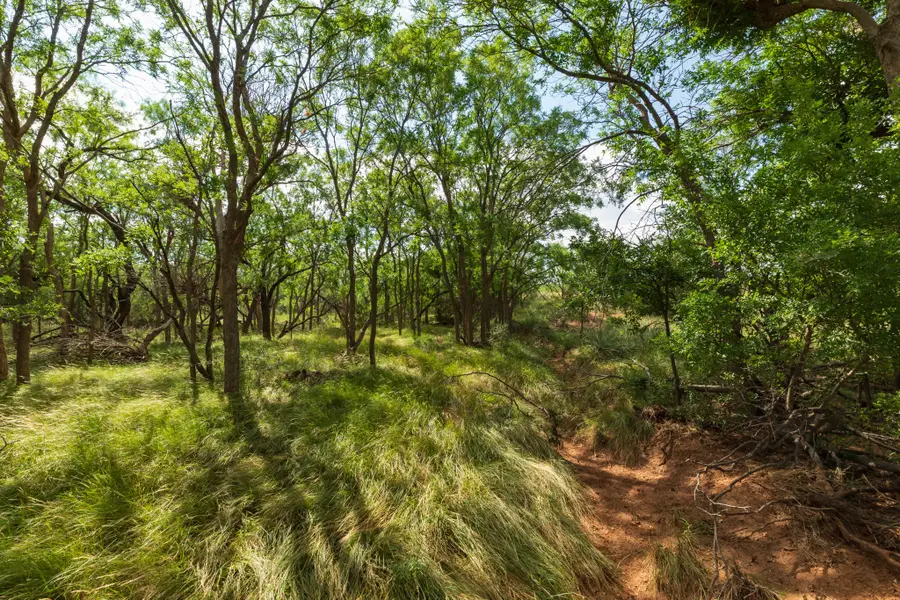1 Cr 441, Sweetwater, TX 79556 - #3