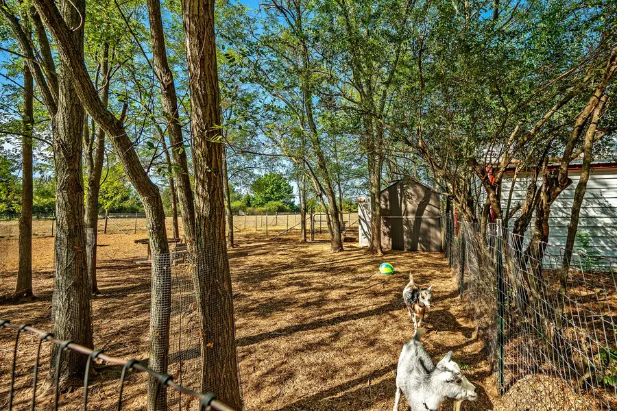 267 Delphia Drive, Denison, TX 75021 - #3