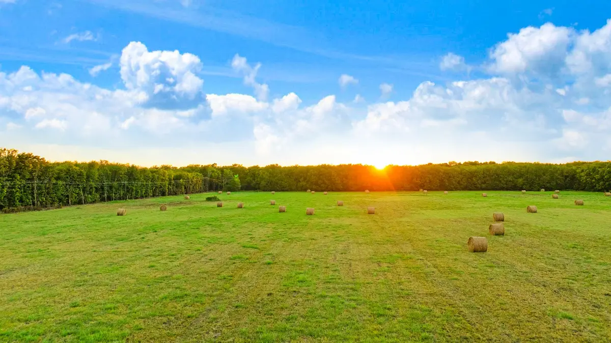 TBD Fm 905, Paris, TX 75460 - #1