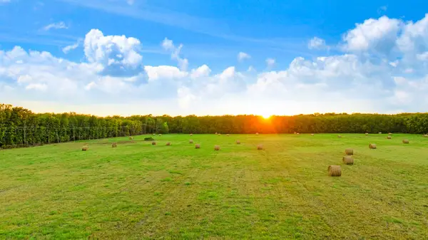 TBD Fm 905, Paris, TX 75460