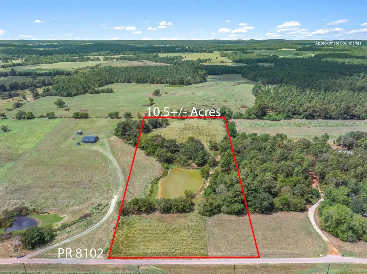 24619 Private Road 8102, Frankston, TX 75763 - #1