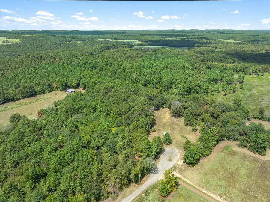 24670 Private Road 8102, Frankston, TX 75763 - #3