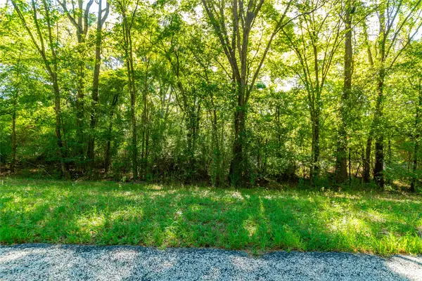TBD Fm 2064 N, Troup, TX 75789