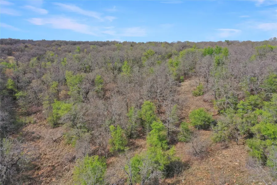 TBD Slusher Road, Jacksboro, TX 76458 - #3