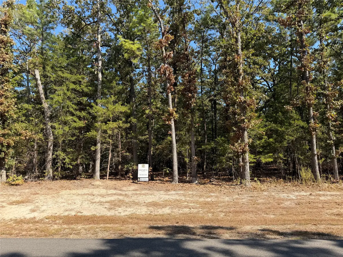 Lot 32 Whispering Pine Trail, Mount Vernon, TX 75457 - #1