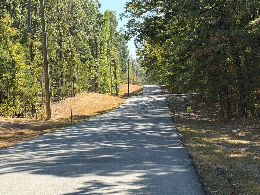 Lot 32 Whispering Pine Trail, Mount Vernon, TX 75457 - #3