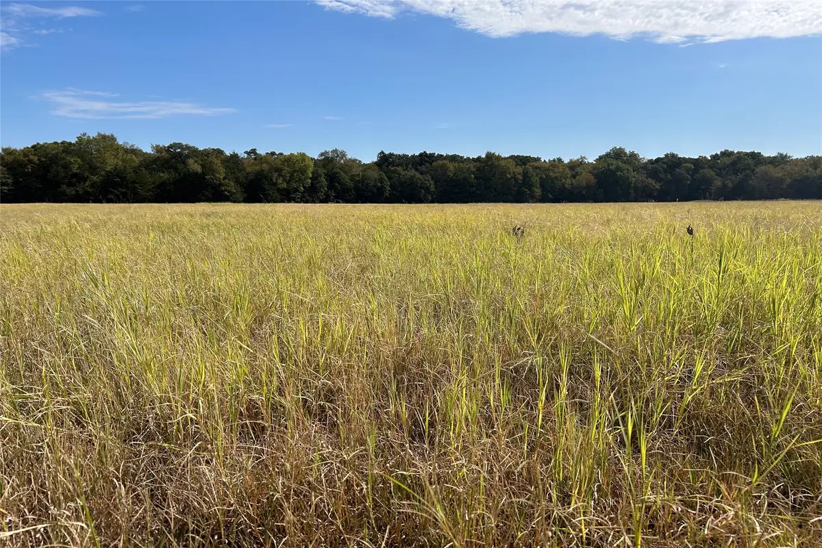 TBD8 County Road 141, Callisburg, TX 76240 - #1