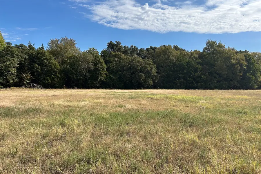 TBD8 County Road 141, Callisburg, TX 76240 - #3