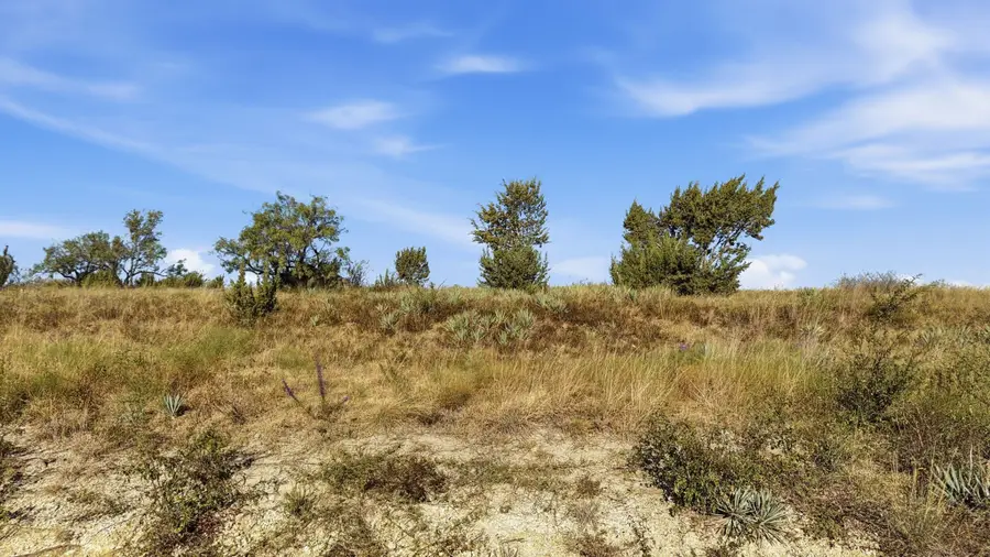 Lot 46 Twisted Creek Ranch, Gustine, TX 76455 - #3