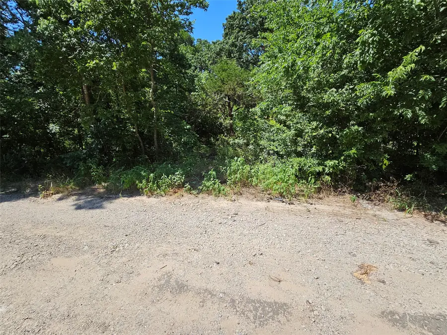 Lot 1 Bird Hill Drive, Quinlan, TX 75474 - #3