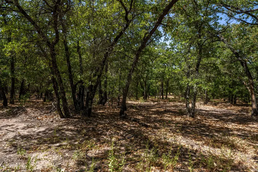 1714 County Road 1886, Sunset, TX 76270 - #3