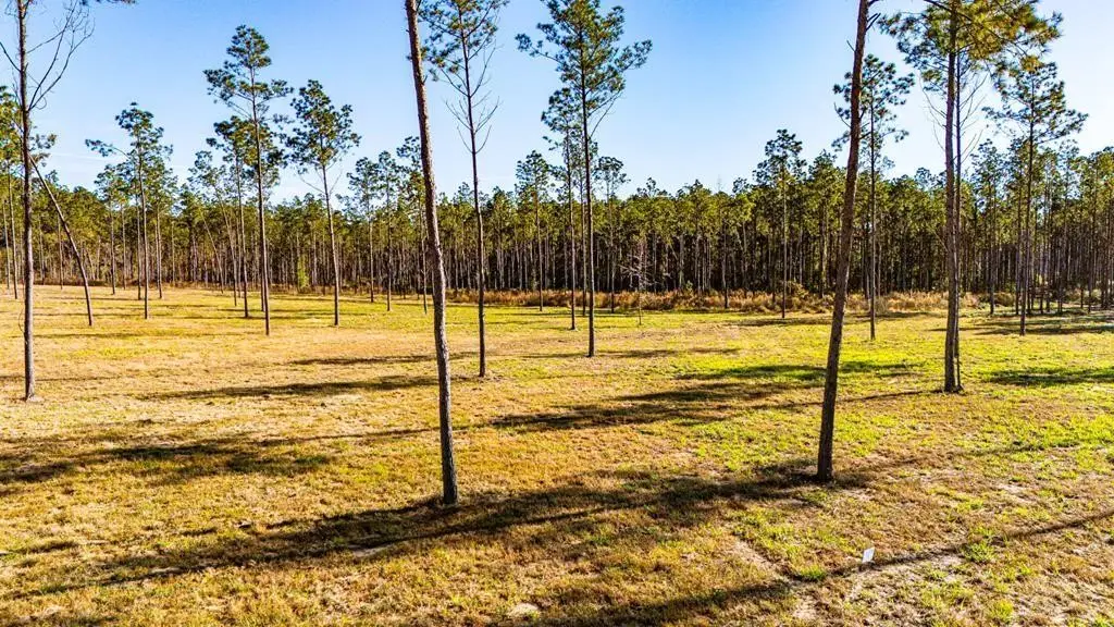 19 Big Buck Drive, Moscow, TX 75960 - #1