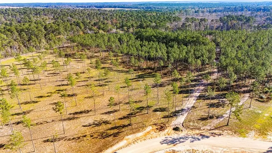 19 Big Buck Drive, Moscow, TX 75960 - #3