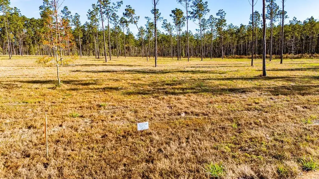 20 Big Buck Drive, Moscow, TX 75960 - #1