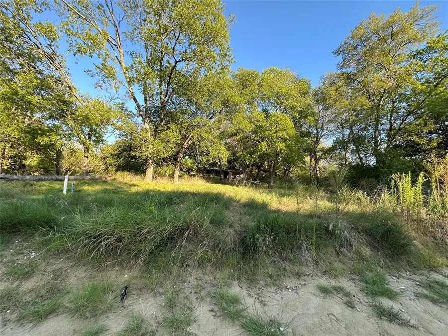 10497 Newell Creek Drive, Quinlan, TX 75474 - #2
