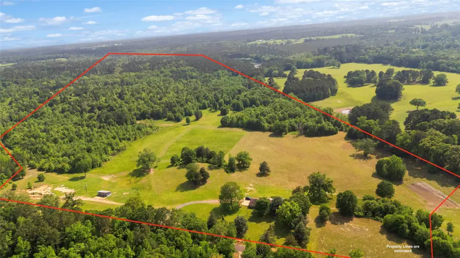 102 Private Road 3174, Gilmer, TX 75644 - #2