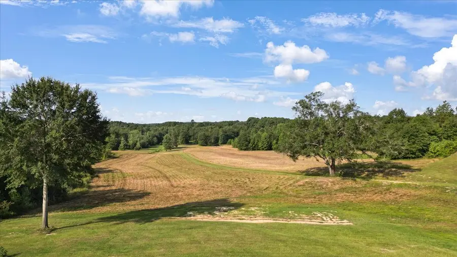 102 Private Road 3174, Gilmer, TX 75644 - #3
