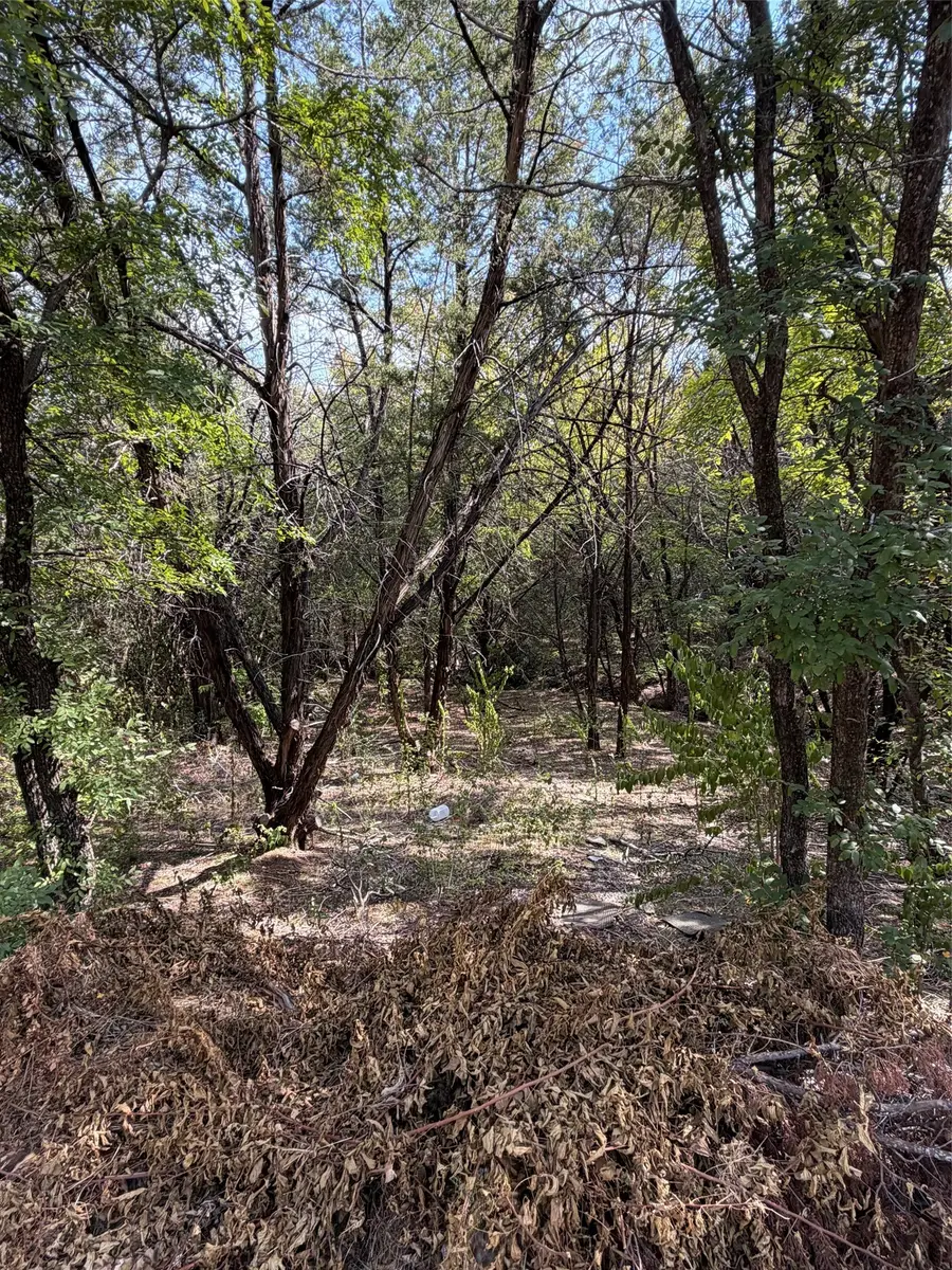 3633 Flint Rock Circle, Granbury, TX 76048 - #3