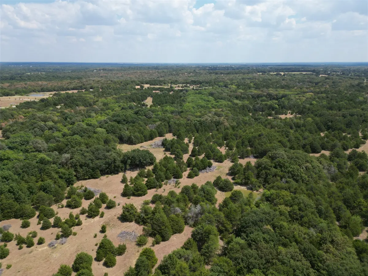 85 ac County Road 1019, Celeste, TX 75423 - #1