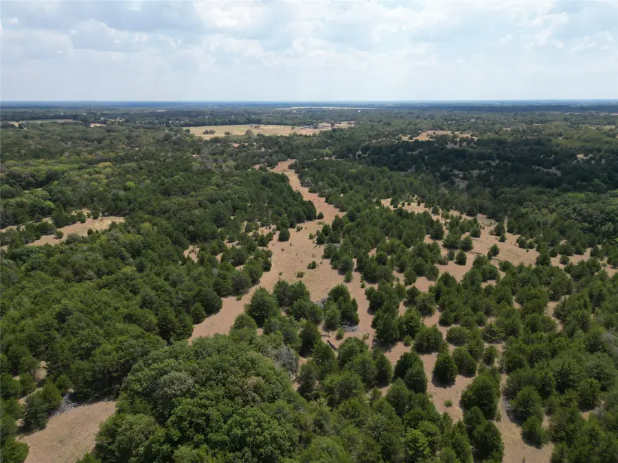 85 ac County Road 1019, Celeste, TX 75423 - #2