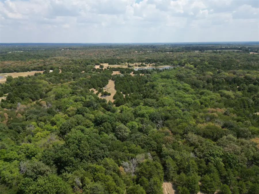 85 ac County Road 1019, Celeste, TX 75423 - #3