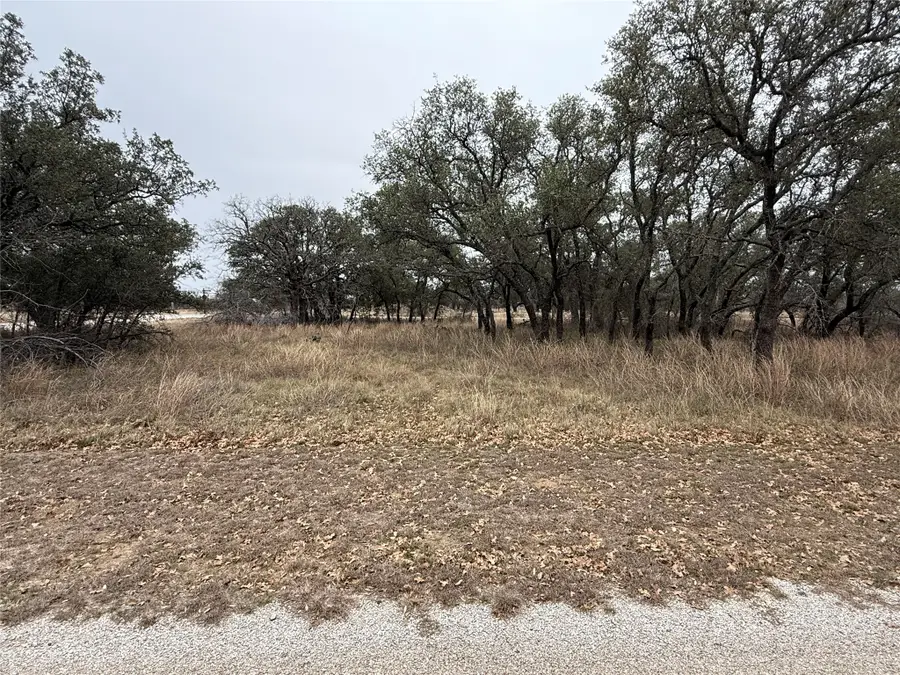 TBD 941 Feather Bsy Drive, Brownwood, TX 76801 - #3