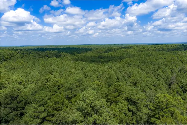 NE Off Of Fm 227, Kennard, TX 75847