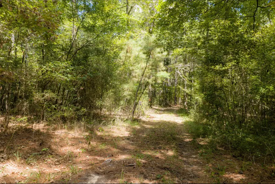 NE Off Of Fm 227, Kennard, TX 75847 - #2