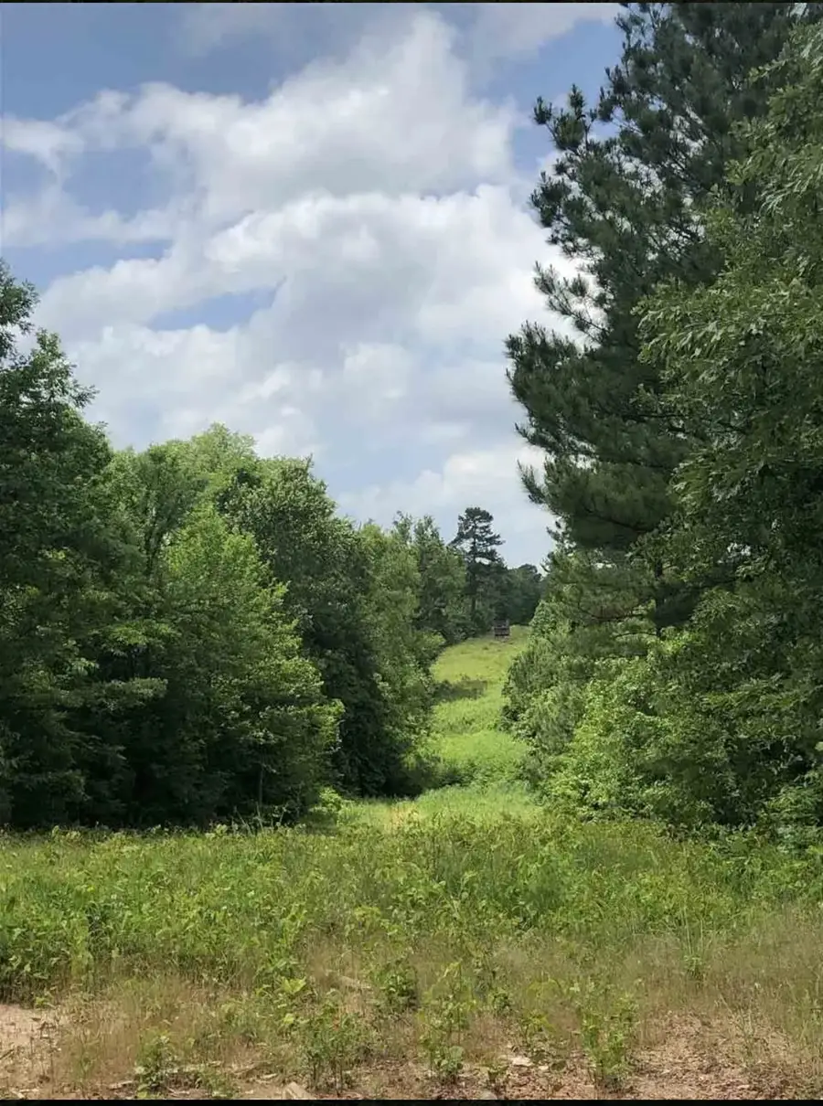 TBD Aster Road, Gilmer, TX 75644 - #2