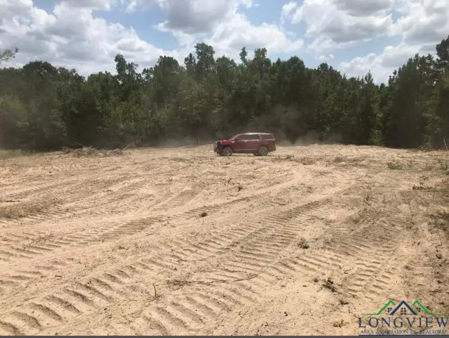 TBD Aster Road, Gilmer, TX 75644 - #3