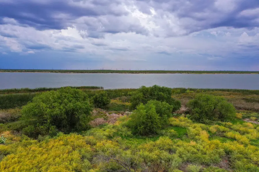 440 Blue Cat Boulevard, Haskell, TX 79521 - #2