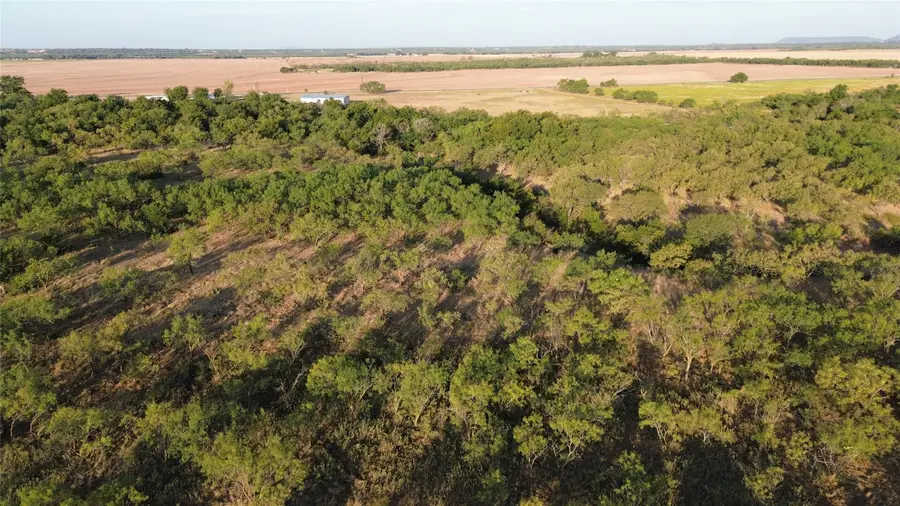 801 State Highway 153, Wingate, TX 79566 - #2