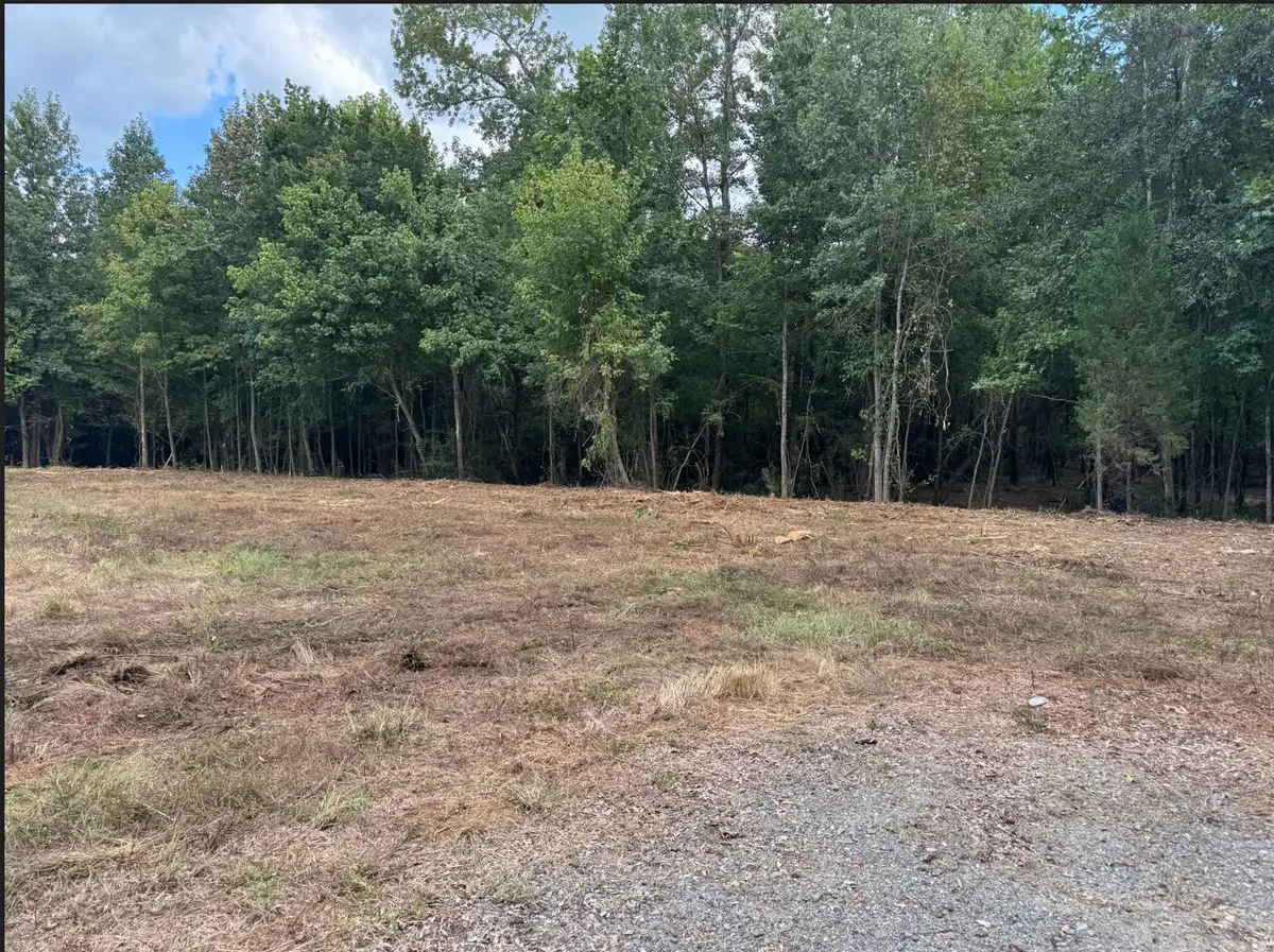 0 Hwy 172, Keatchie, LA 71046 - #1