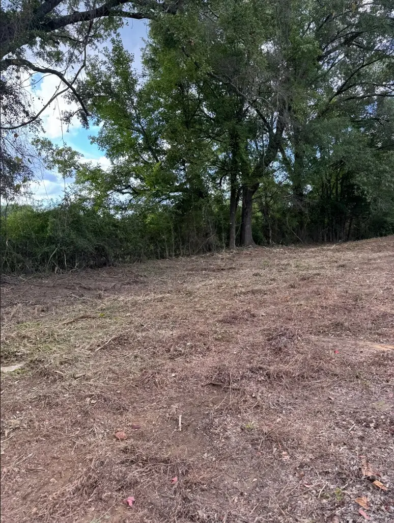0 Hwy 172, Keatchie, LA 71046 - #2