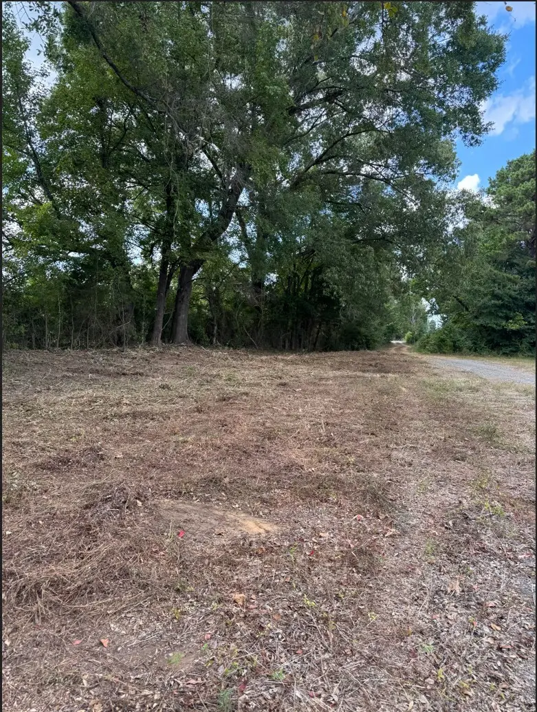 0 Hwy 172, Keatchie, LA 71046 - #3