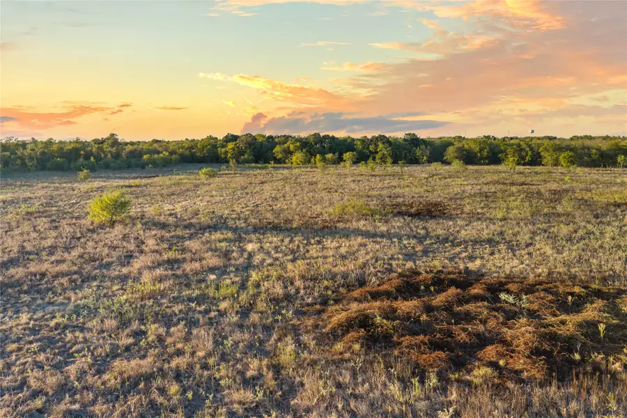 TBD 1 Phillips Street, Marlin, TX 76661 - #2
