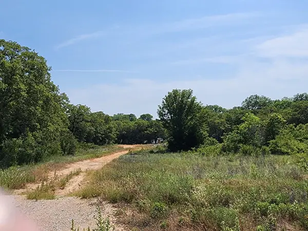 301 Timber Trail, Alvord, TX 76225