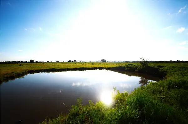 316 Flowing Wells Road, Pottsboro, TX 75076