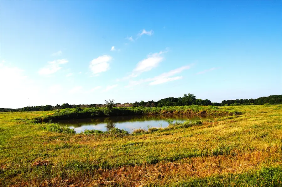 316 Flowing Wells Road, Pottsboro, TX 75076 - #2