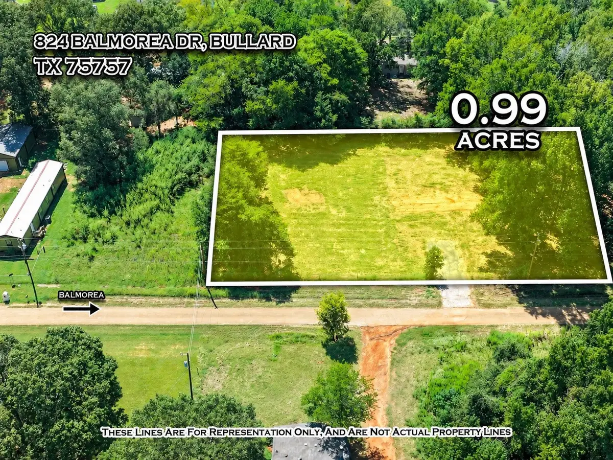 824 Balmorea Drive, Bullard, TX 75757 - #1