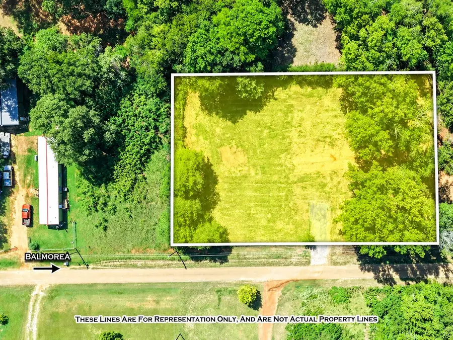 824 Balmorea Drive, Bullard, TX 75757 - #2