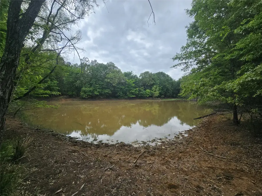 TBD Cr 45400, Paris, TX 75462 - #3