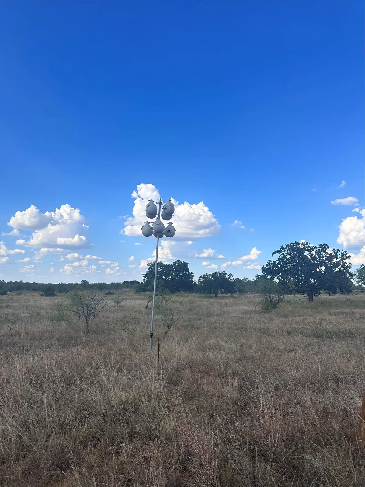 384 County Road 406, Carbon, TX 76435 - #1