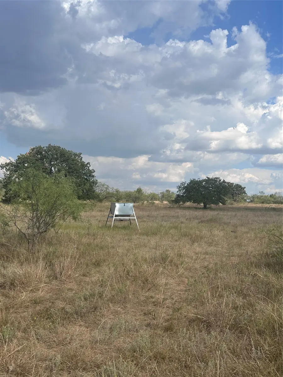384 County Road 406, Carbon, TX 76435 - #2