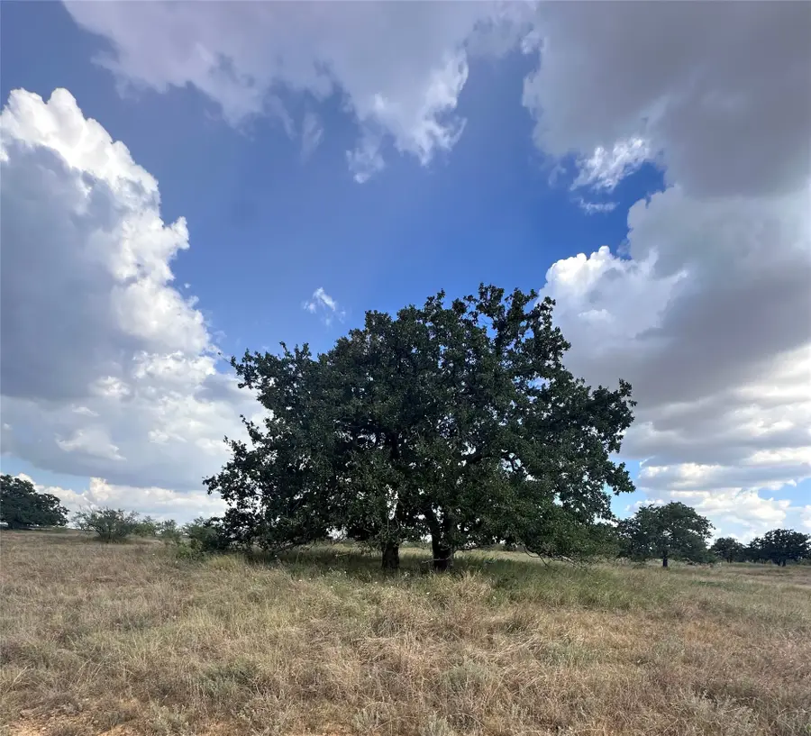384 County Road 406, Carbon, TX 76435 - #3